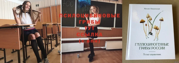 бутират Баксан
